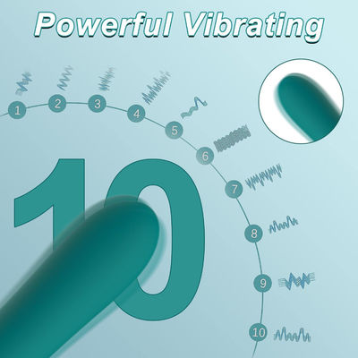 10 Módulos Bala de silicone vagina traseiro brinquedo G Spot Vibrator Dildo