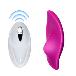 Vibrator de sexo feminino sem fio de 20 cm Ponto G Vibrator de ovo pequeno Brinquedo de sexo Calcinhas vestíveis