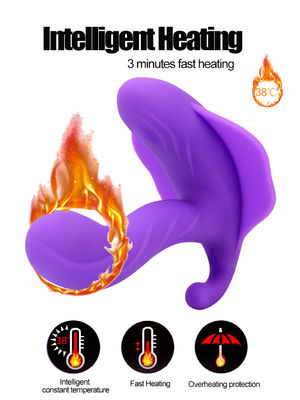 14cm Vibrator Bluetooth à prova d'água Brinquedo Sexual Recarregável Calcinha Vibrante Para Mulheres