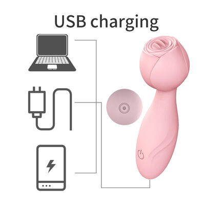 Impressão de logotipo AV Wand Cordless Handheld 350g Mulheres Vibrator Massagem de varinha