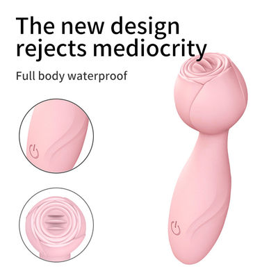 Impressão de logotipo AV Wand Cordless Handheld 350g Mulheres Vibrator Massagem de varinha